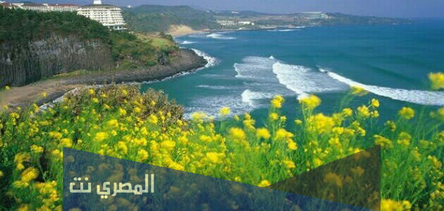 اين تقع جزيرة جيجو بالتفصيل