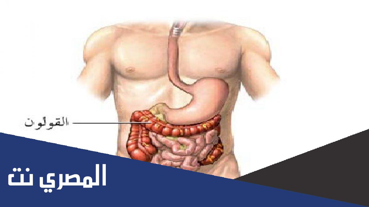 اين يقع القولون في الجسم