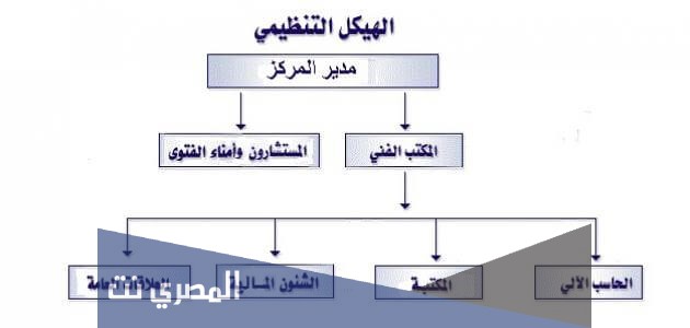 بحث حول الهيكل التنظيمي للمؤسسة كامل pdf