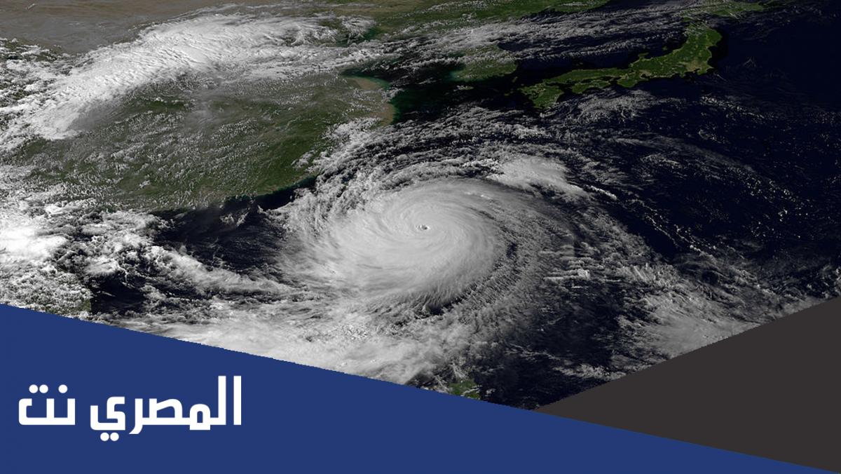 بحث عن اعصار ماثيو بالمراجع