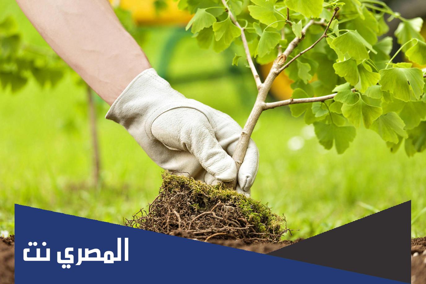 بحث عن المحافظة على البيئة