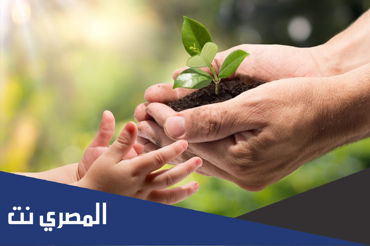 بحث عن دور الإسلام في المحافظة على البيئة