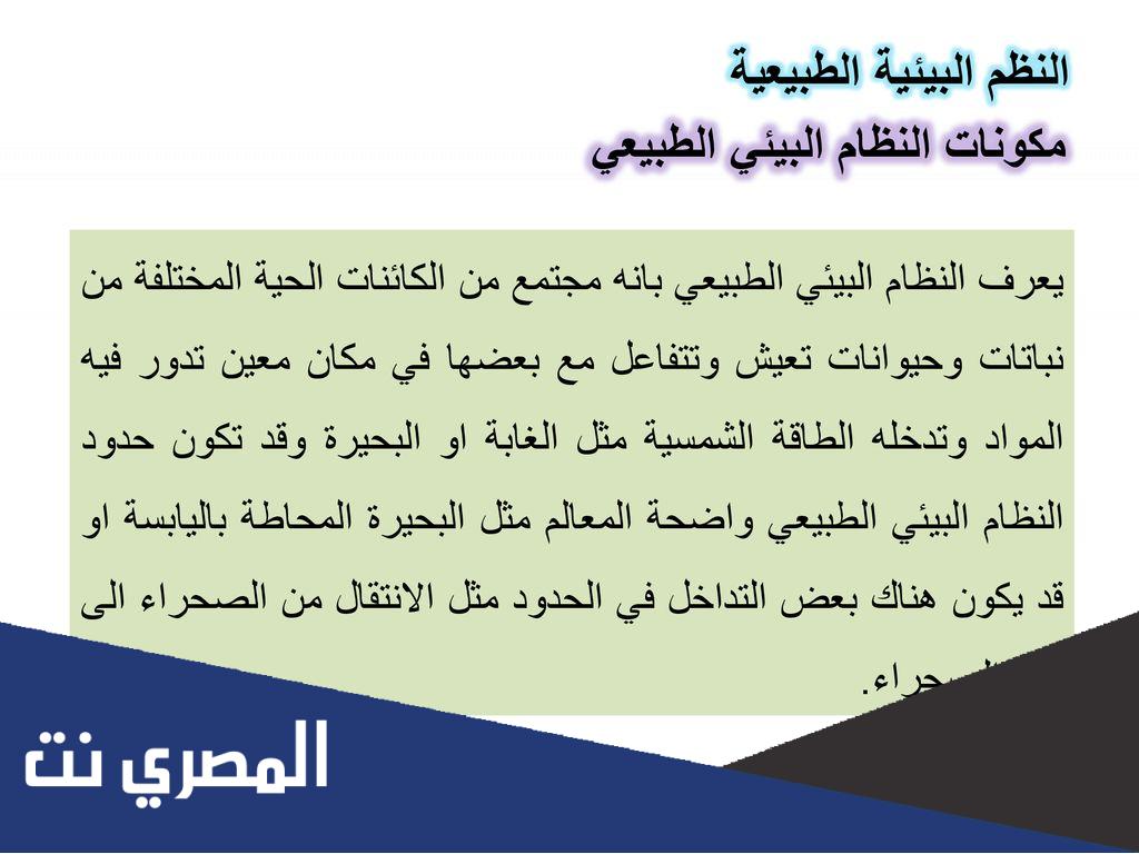 بحث عن قانون القدرة في النظام البيئي