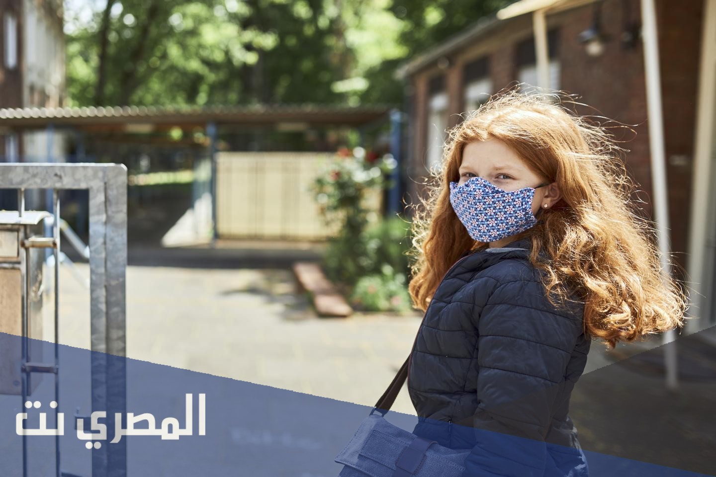 بحث عن قصة اكبر مدرسة فى العالم