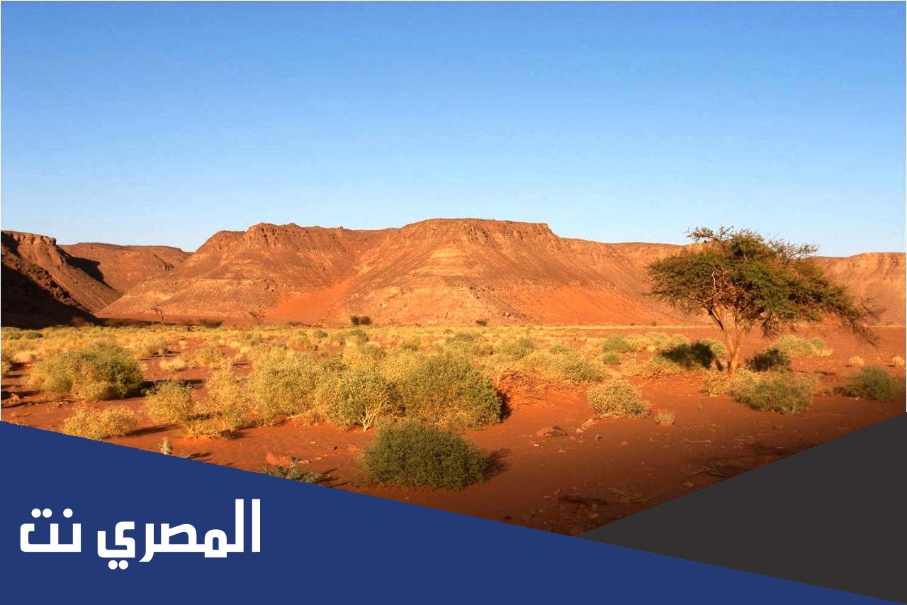 بحث عن محمية الجلف الكبير