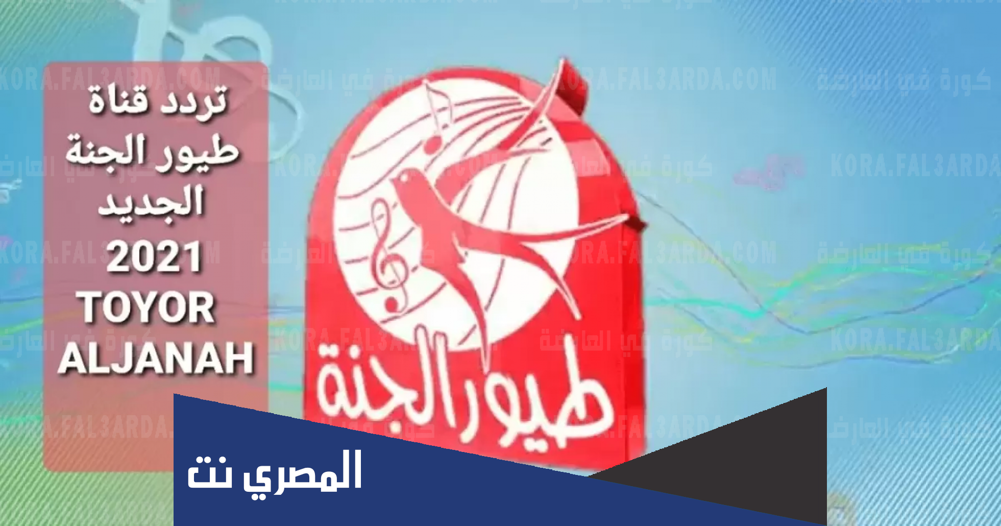 بعض البرامج على قناة طيور الجنة