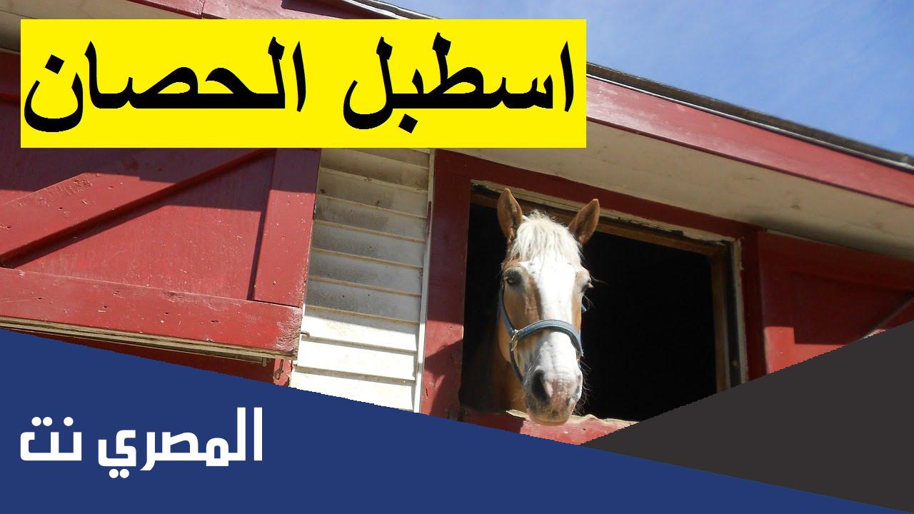 بيوت حيوانات وأسمائها