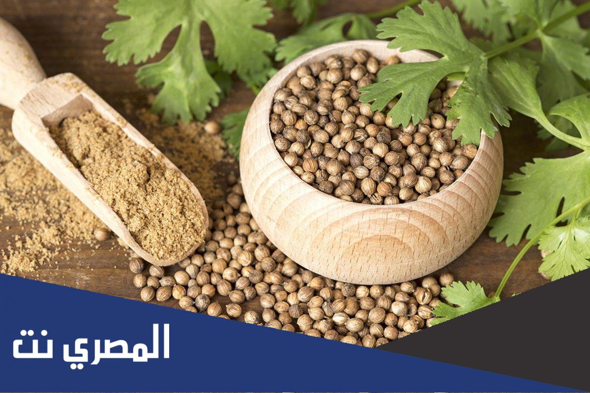 ما هي فوائد الكزبره الناشفه المغليه