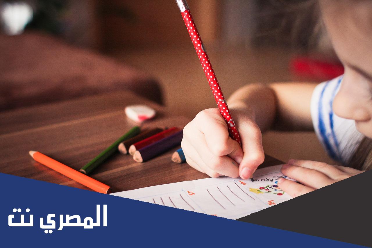 تعريف الدمج لذوي الاحتياجات الخاصة