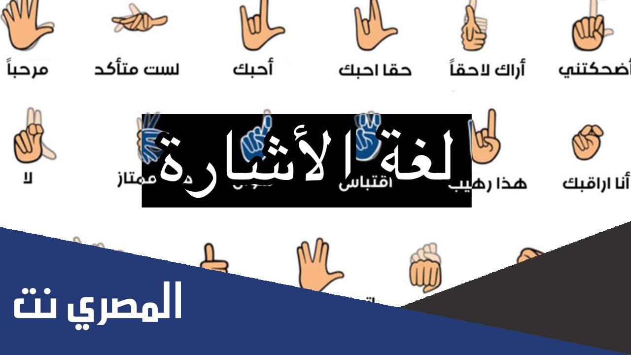 تعلم لغة الاشارة pdf