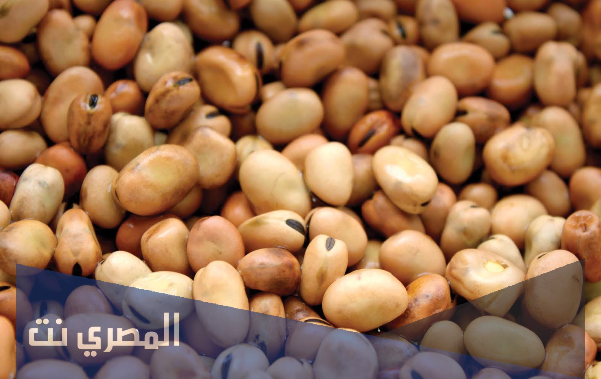تفسير الاحلام والرؤي الفول في المنام