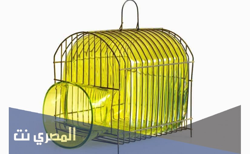 تفسير الاحلام والرؤي القفص في المنام