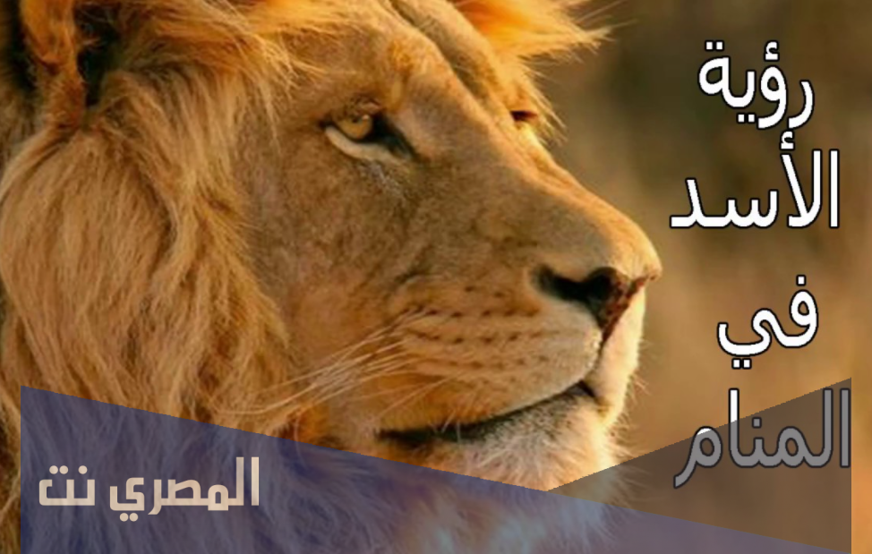 تفسير حلم الأسد للنابلسي وابن سيرين