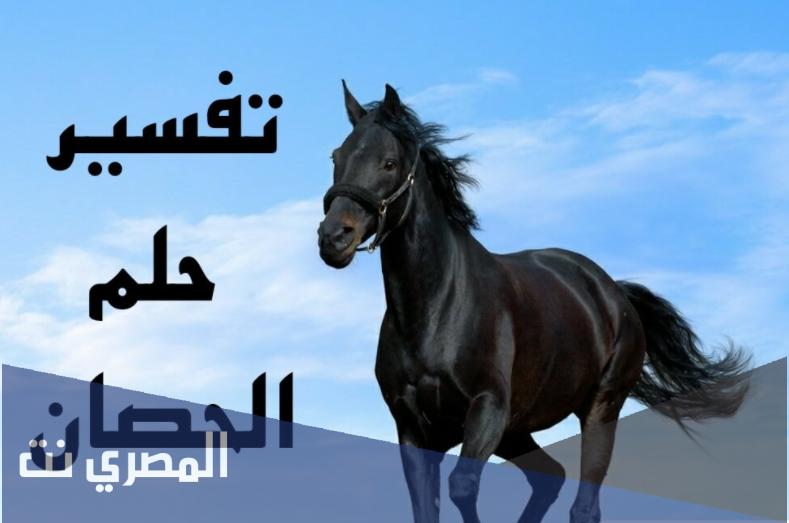 تفسير حلم الحصان لابن سيرين والنابلسي