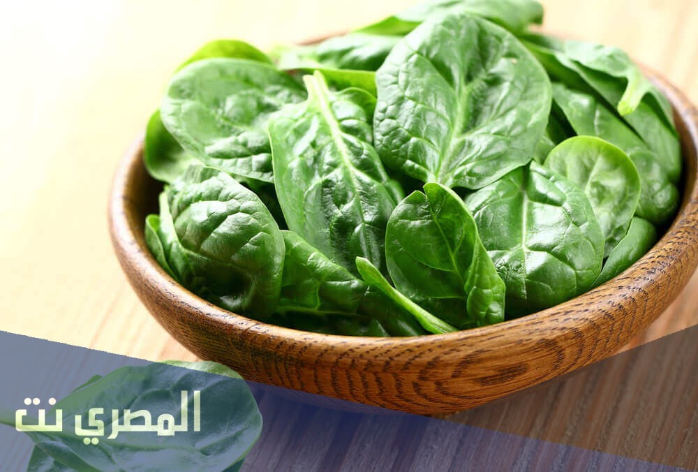 ما هو تفسير رؤية السبانخ في المنام