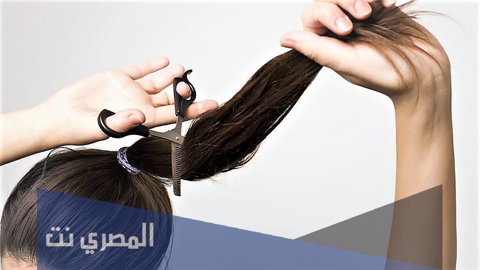 معني حلم قص الشعر في المنام لابن سيرين