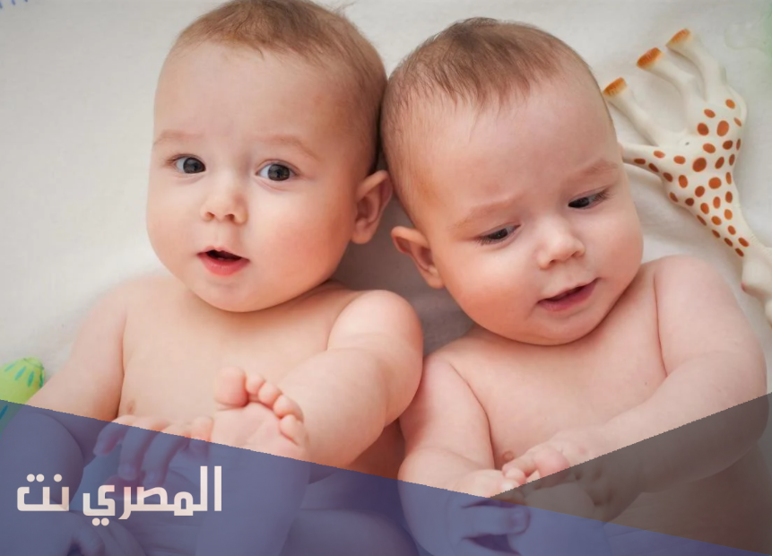 تفسير رؤية التوأم في المنام بالتفصيل لابن شاهين