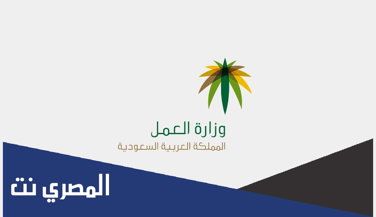 خدمة عملاء مستشارك العمالي بوزارة العمل