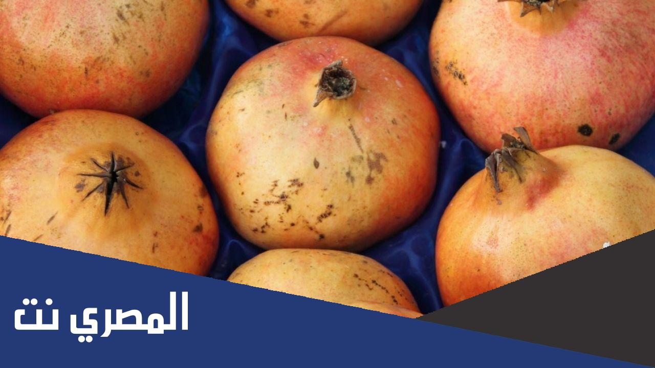 خطوات تخزين الرمان كاملة