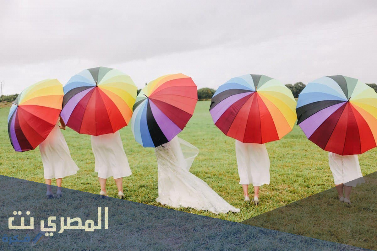 دراسة جدوى لمشروع صناعة شمسية اليد
