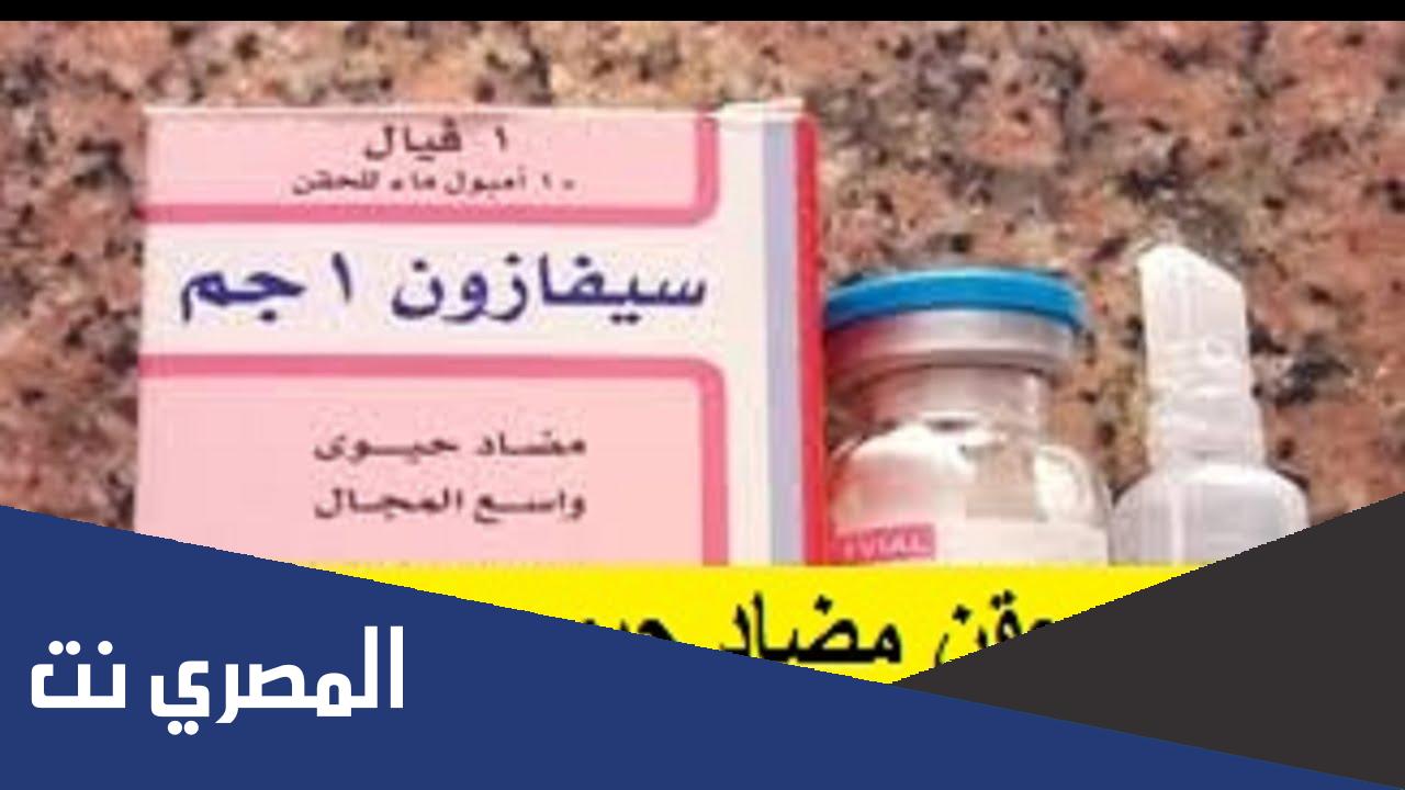 دواعي استعمال سيفازون Cefazone السعر وموانع الاستعمال