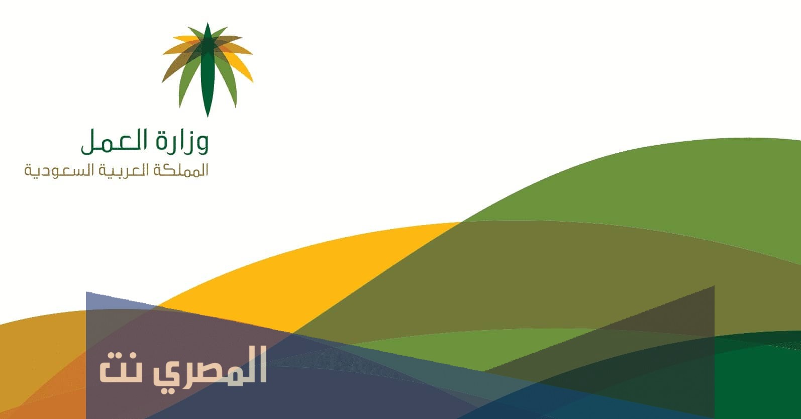 رقم مكتب العمل السعودي الموحد الشكاوى والرسوم و حجز موعد