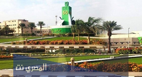 سب التخصصات في جامعة الملك