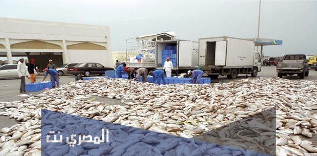 صيد الأسماك في سلطنة عمان
