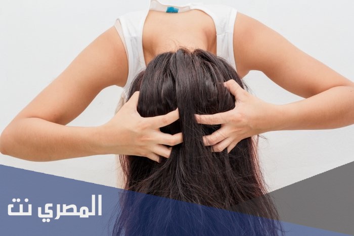 طريقة تدليك فروة الرأس بالزيت