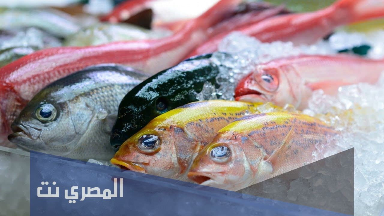 طريقة سهلة لطهي السمك المجمد في 10 دقائق