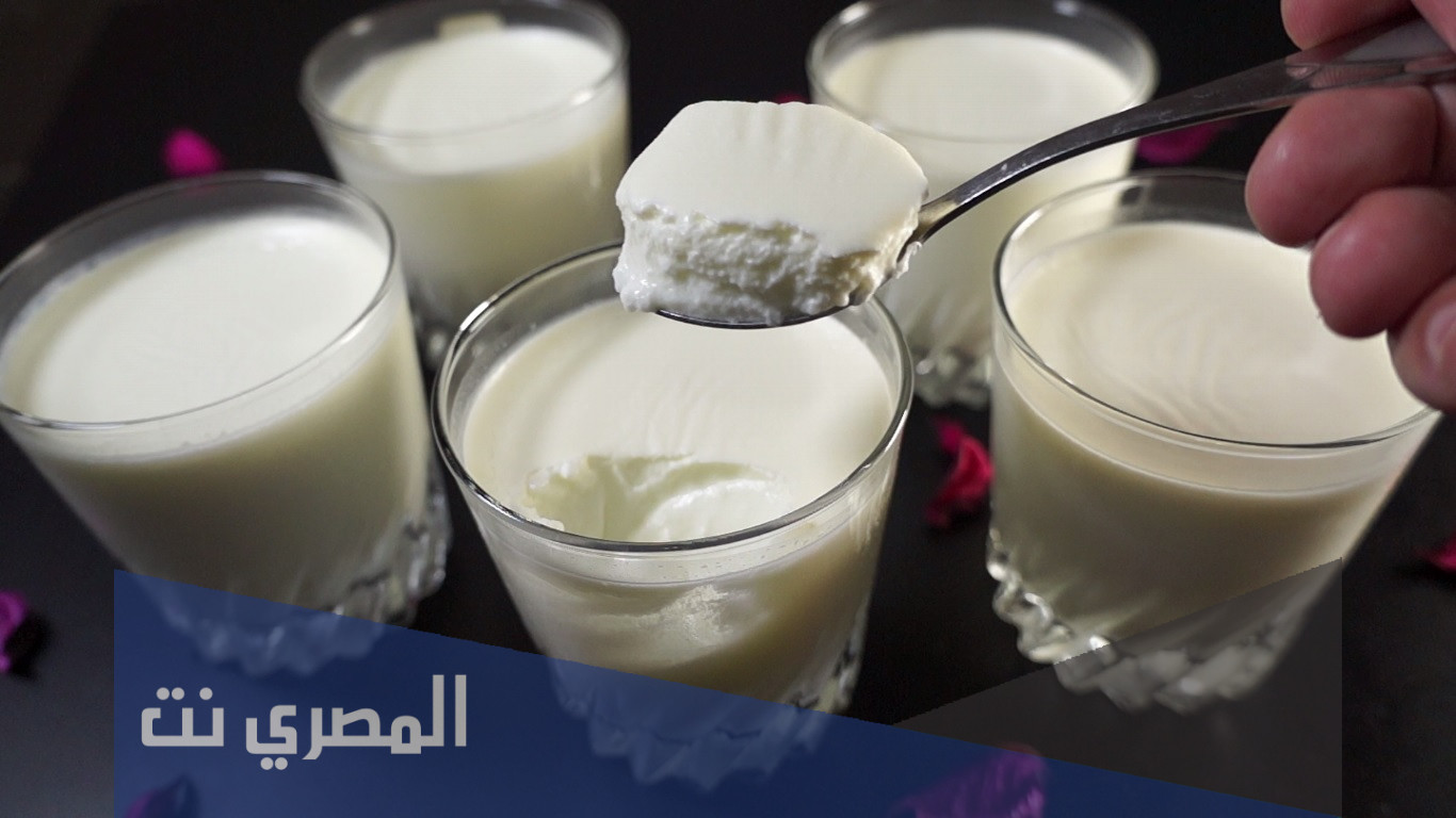 طريقة عمل الزبادى في المنزل