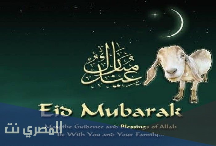 عبارات تهنئة عيد الاضحى للاصدقاء 2021 رسائل تهنئة للاصدقاء