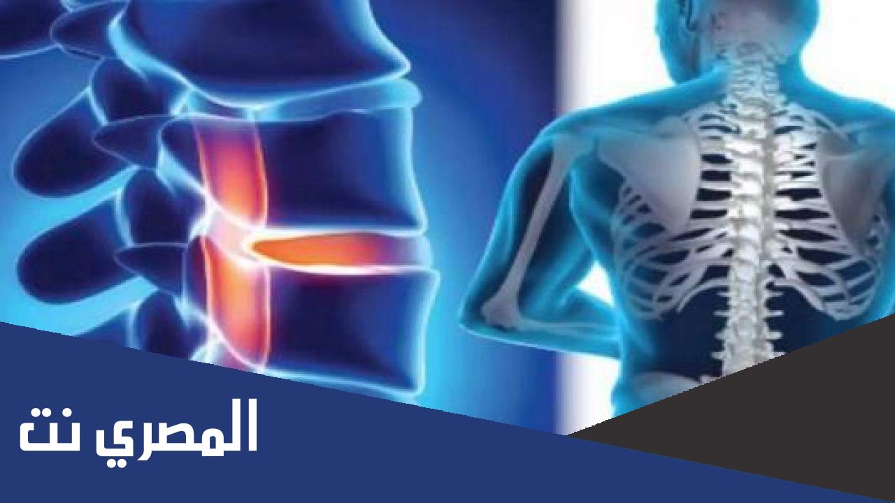 عدد فقرات الظهر في الإنسان