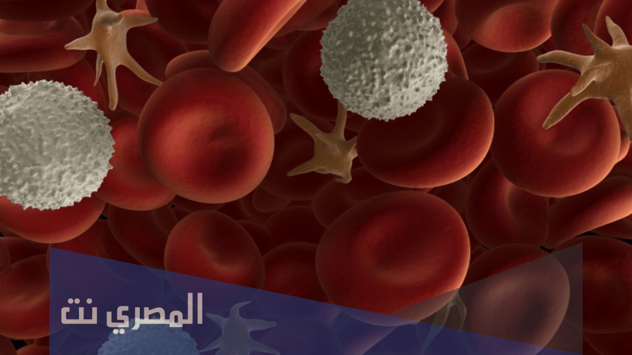 علاج بكتيريا الدم عند الاطفال