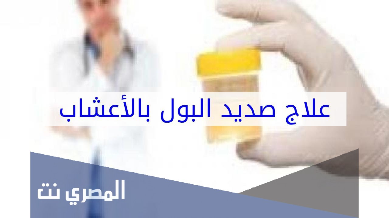 علاج صديد البول الشديد بالتفصيل