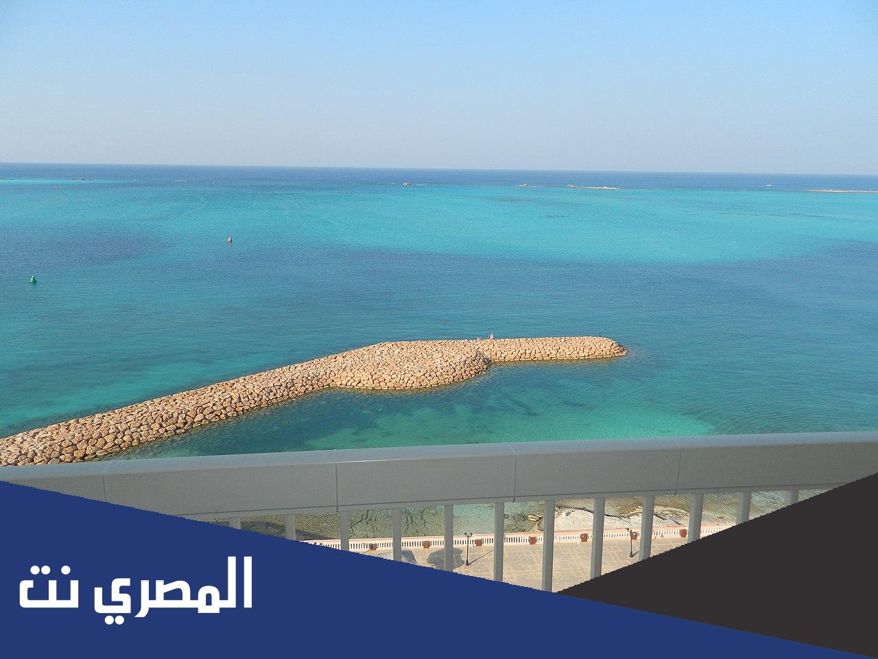 عنوان فندق ديلمار مطروح