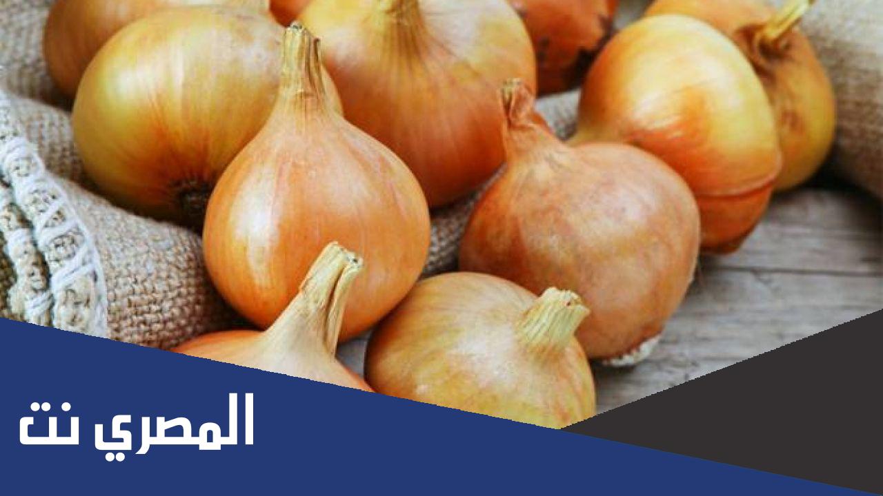 فائدة البصل الأبيض