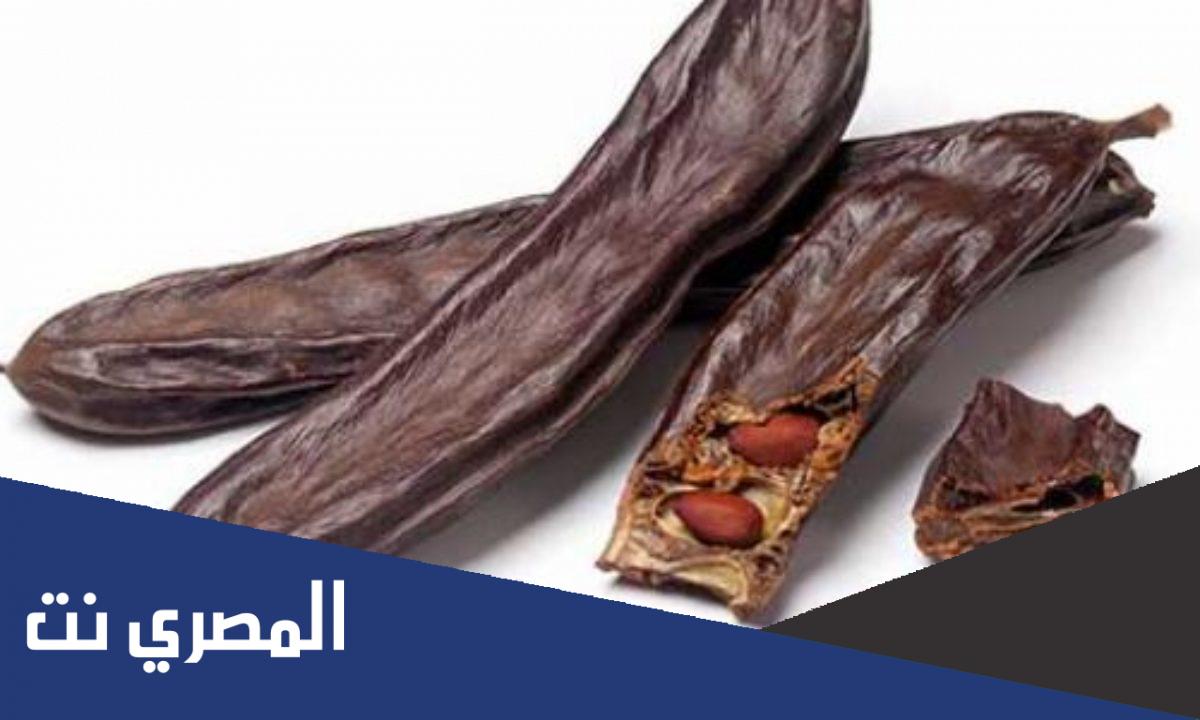فائدة الخروب للمعدة