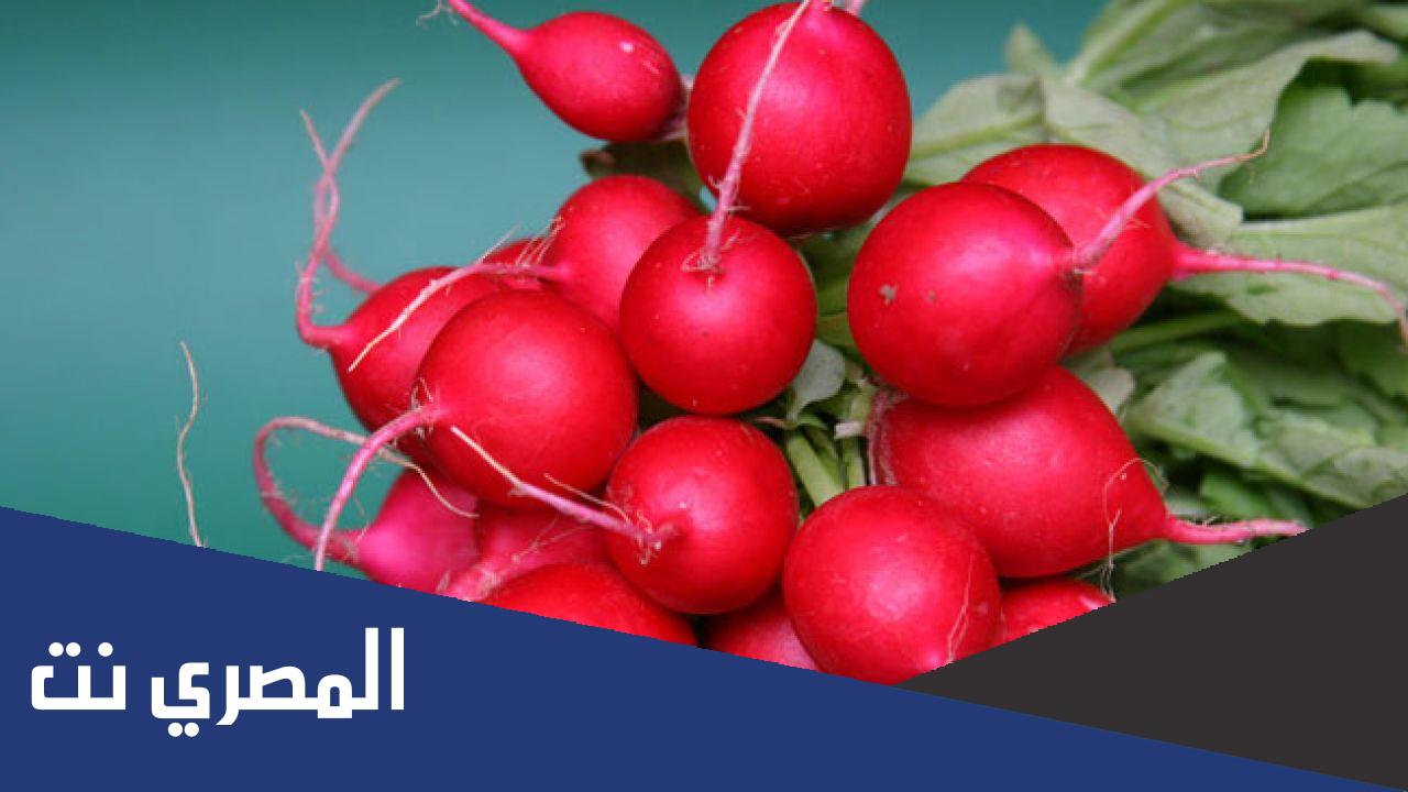 فائدة اوراق الفجل الاحمر