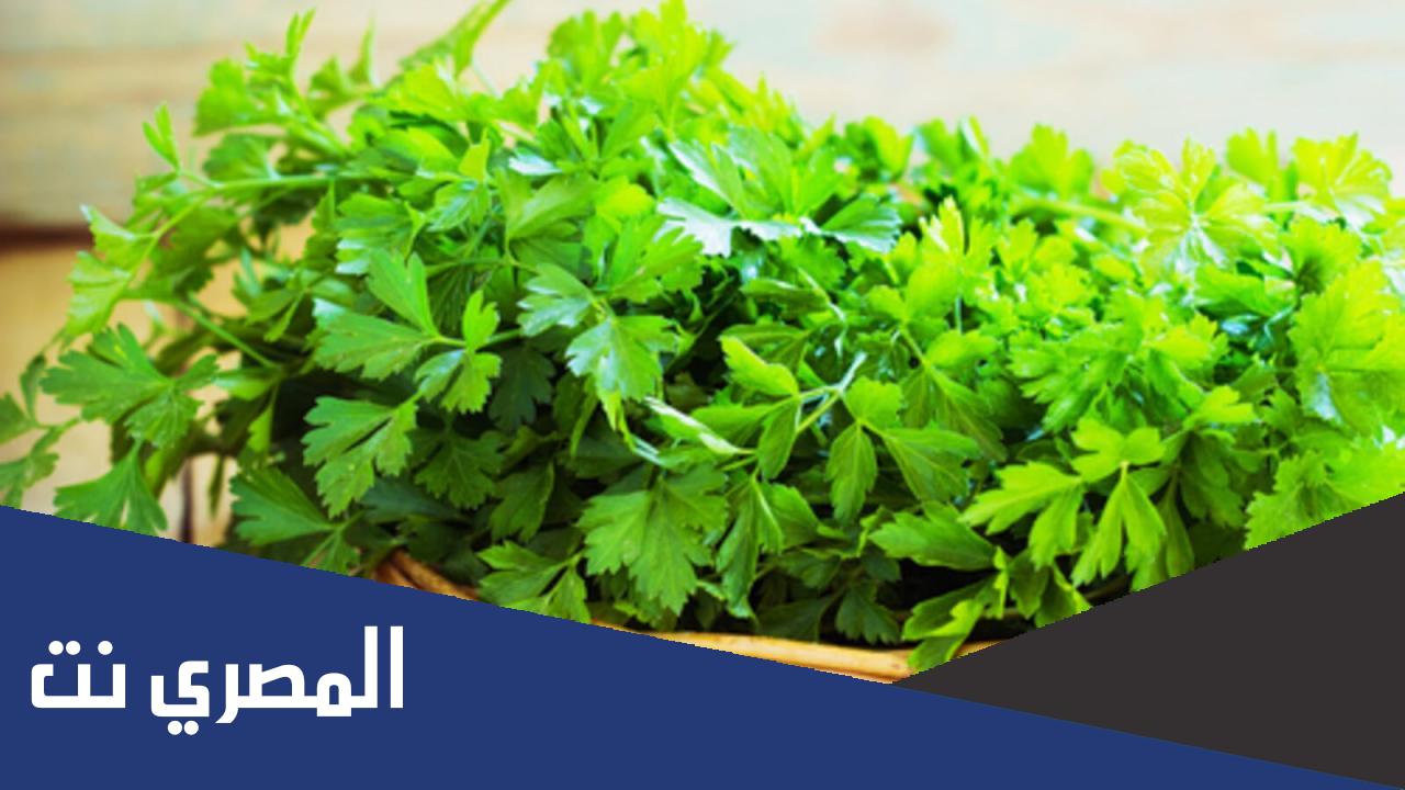 فوائد عصير البقدونس المغلي للتخسيس