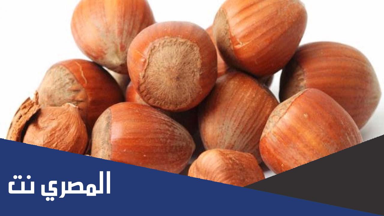 فوائد البندق ومضاره