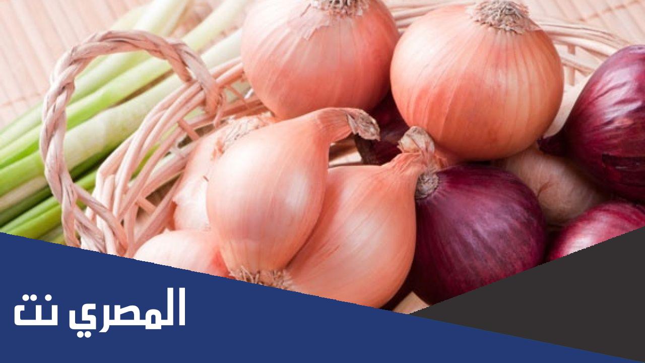 فوائد الثوم والبصل للجسم