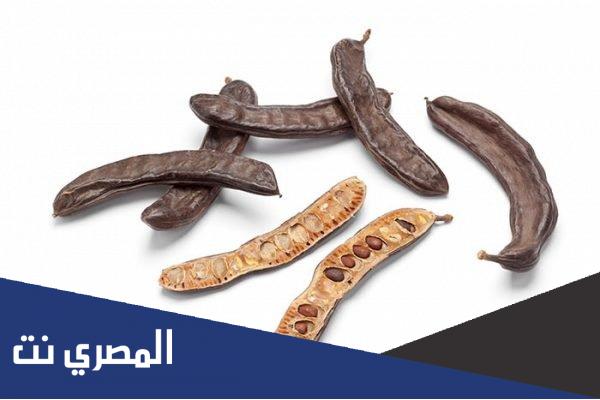 ما هي فوائد أكل الخروب الناشف