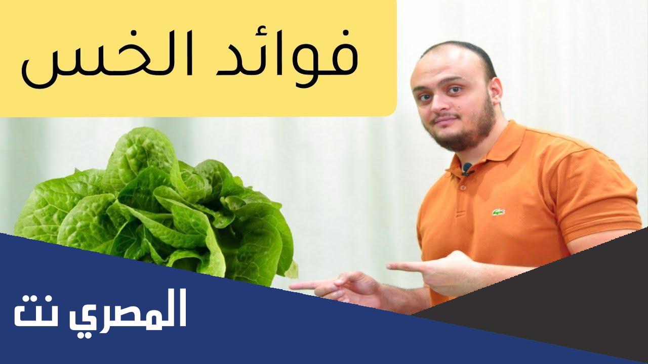 فوائد الخس واضراره