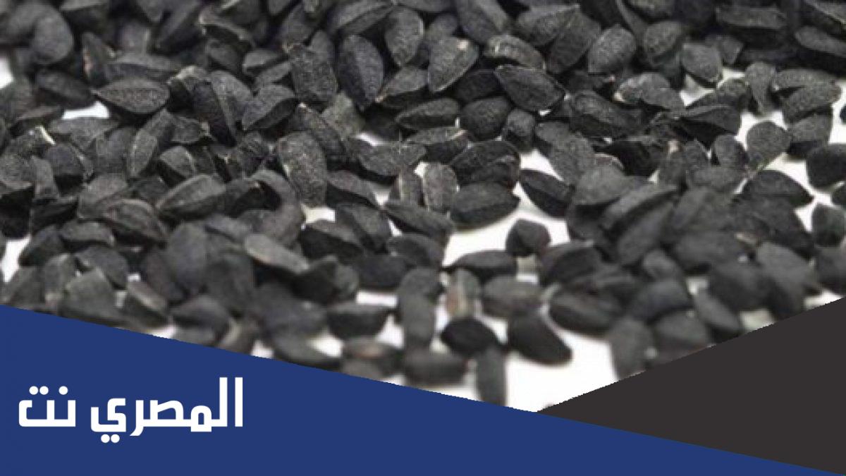 فوائد الموميان الأسود