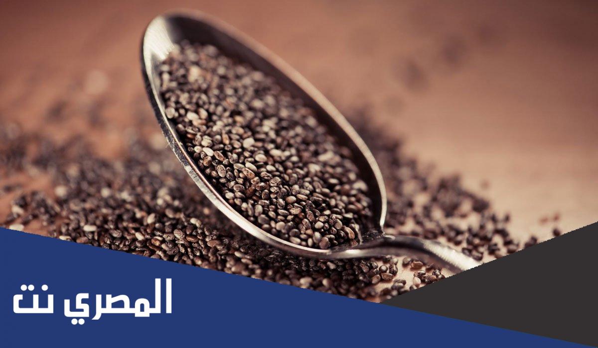 فوائد حبوب الشيا واستخداماتها