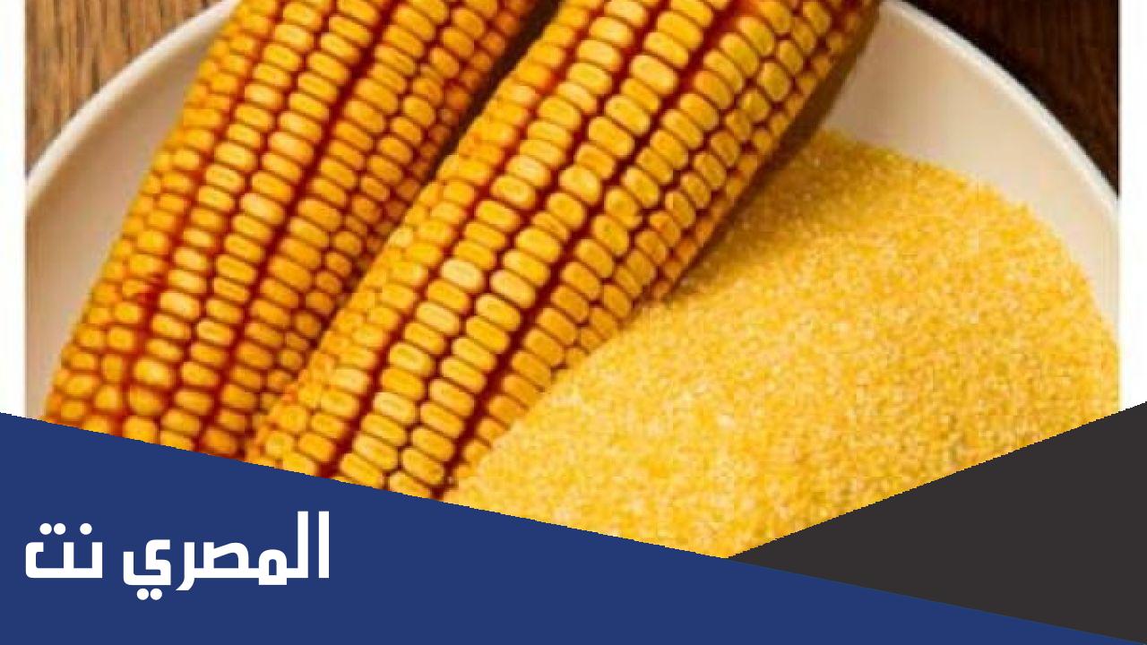فوائد دقيق الذرة واستخداماته