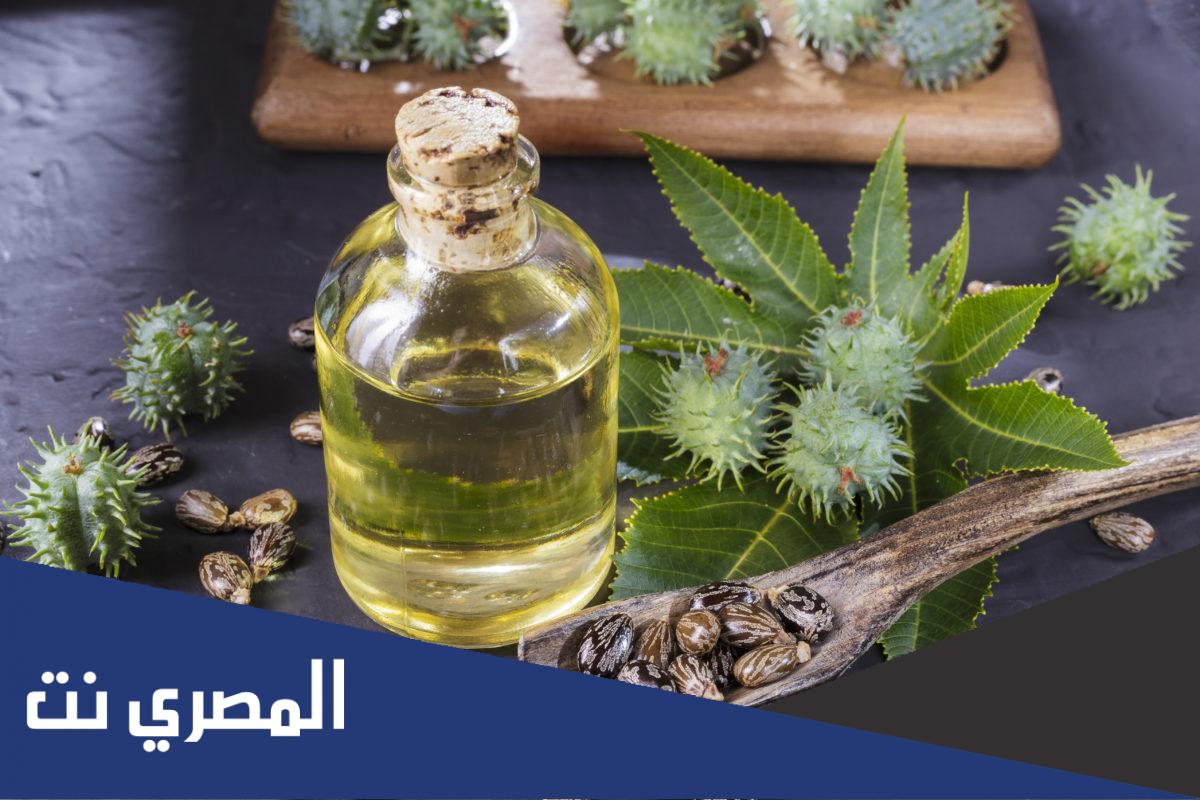 فوائد زيت الخروع للبشرة والرموش وطريقة استخدامه