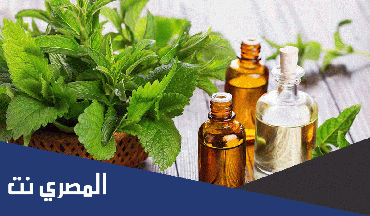 فوائد زيت النعناع للشعر وطريقة استخدامه