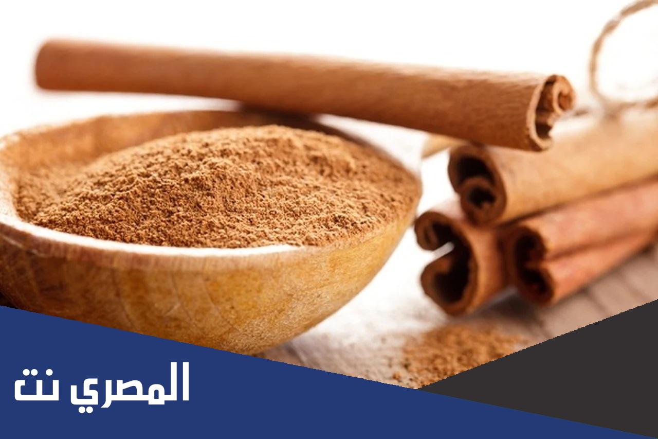 فوائد شرب القرفة قبل النوم لصحتك.. تعرف عليها الآن